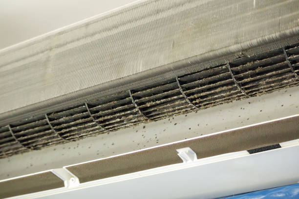 Best Air Duct Cleaning Near Me  in Royston, GA